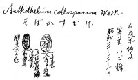 代表画像
