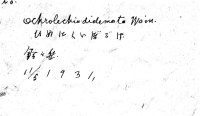 代表画像