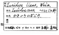 代表画像