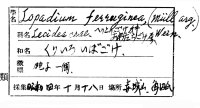 代表画像