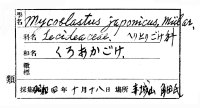 代表画像