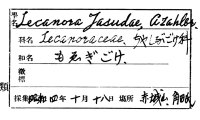 代表画像