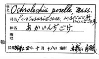 代表画像