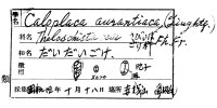 代表画像