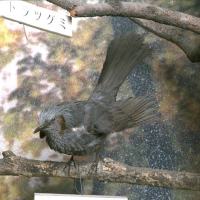 代表画像
