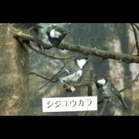 代表画像