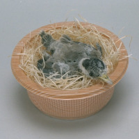 代表画像