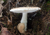 代表画像