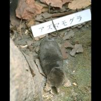 代表画像