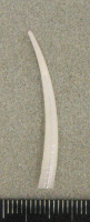 代表画像
