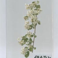 代表画像
