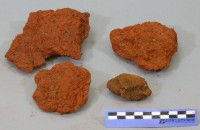 代表画像