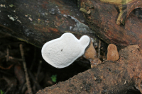 代表画像