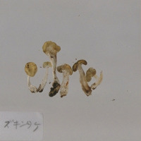 代表画像
