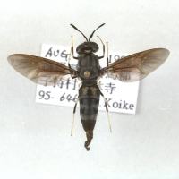 代表画像