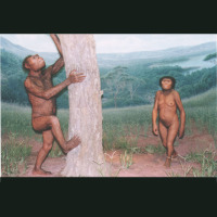 代表画像