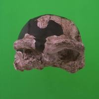 代表画像