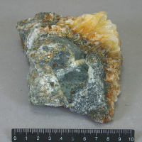 代表画像