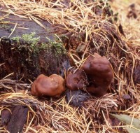 代表画像