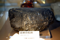 代表画像